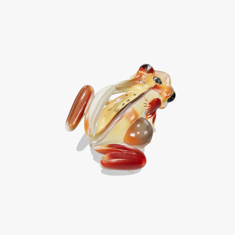 Transparent Glass Frog Model Pack